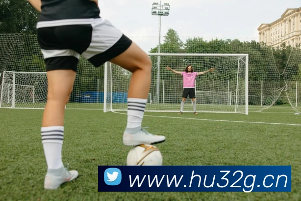 开云手机入口官网全站App